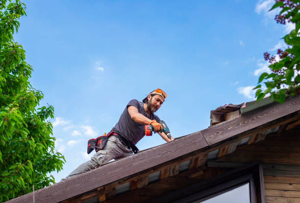 Best Siding  in , WI